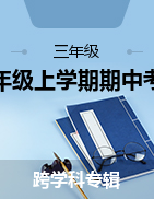 湖南省常德市汉寿县2022-2023学年三年级上学期期中考试试题