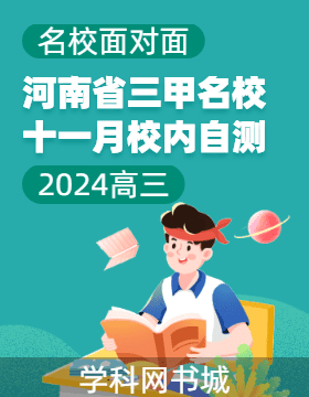 【名校面對面】河南省三甲名校2024-2025學(xué)年十一月校內(nèi)自測卷