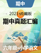 2023-2024学年六年级语文上册期中真题分类汇编  山东专用（含解析）