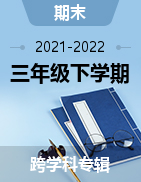 四川省德阳市绵竹市2021-2022学年三年级下学期期末抽考试题