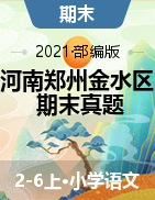 【真题，含答案】河南省郑州市金水区2020-2021学年度第一学期期末调研试卷语文试题部编版