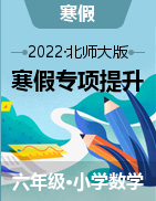 2022-2023学年六年级数学上册寒假专项提升（北师大版）