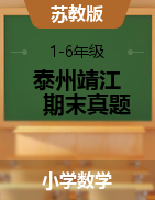 【真题】苏教版1-6年级数学下册期末测试卷（江苏泰州靖江市2020年真卷）