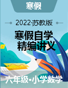 2022-2023学年六年级数学寒假自学精编复习+预习讲义（苏教版）