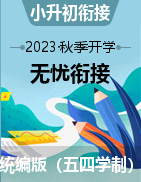 2023年小升初（五升六）语文知识无忧衔接（统编版）（上海专用）