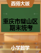 【真题】重庆市璧山区数学一-五年级下学期期末质量测试 2019-2020学年（西师大版，无答案，图片版）