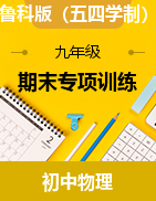 期末專項訓(xùn)練 -2024-2025學(xué)年魯科版（五四學(xué)制）物理九年級下學(xué)期