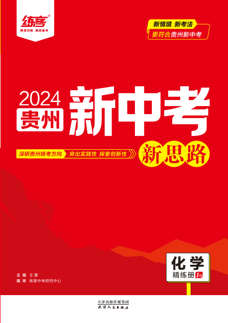 （配套课件）2024年贵州【练客中考】化学总复习新思路课后提升练