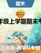 陕西省安康市紫阳县2021-2022学年六年级上学期期末考试试卷
