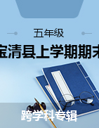 黑龙江省双鸭山市宝清县2022-2023学年五年级上学期期末检测试卷