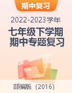 2022-2023学年七年级语文下学期期中专题复习（河南专用）
