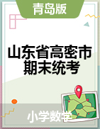【真题】山东省潍坊市高密市数学一-六年级下学期期末试题 2020-2021学年 
