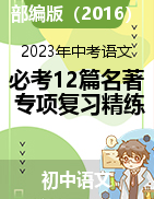 2023年中考語文必考12篇名著閱讀專項復(fù)習(xí)精選精練