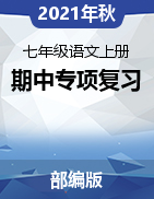 2021-2022學(xué)年七年級(jí)語(yǔ)文上冊(cè)期中專項(xiàng)復(fù)習(xí)（部編版）