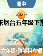 山東省煙臺(tái)市青華中學(xué)2022--2023學(xué)年五四制六年級(jí)下學(xué)期期中考試試題