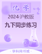 2023-2024学年九年级下册化学同步练习（沪教版）