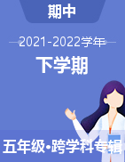 四川省成都市简阳市简城学区2021-2022学年五年级下学期期中阶段性练习试题