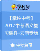 【掌控中考】2017中考语文总复习课件-云南专版