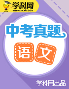 湖南省10市2017年中考语文试卷按考点分项汇编