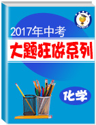 2017年中考化學大題狂做系列