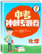 2017年中考化學(xué)沖刺專題卷