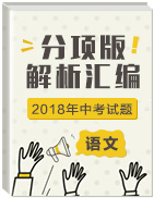 2018年中考語文試題分項(xiàng)版解析匯編