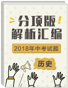 2018年中考?xì)v史試題分項(xiàng)版解析匯編