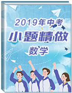 2019年中考數(shù)學(xué)小題精做之專項(xiàng)突破特色練