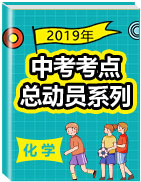 2019年中考化學(xué)考點總動員系列