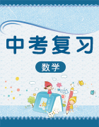 廣東省2019屆中考數(shù)學(xué)復(fù)習(xí)試題(圖片版):壓軸難點專題突破