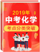 2019年中考化學(xué)考點分類突破