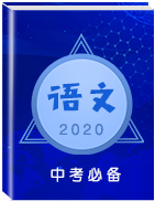 2020版語文中考新素養(yǎng)突破一輪復(fù)習(xí) 全國版