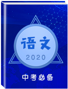 2020版中考语文复习 广东专用