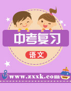 2020中考語文復(fù)習(xí)專題專練