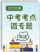 2020年中考英語考點微專題（全國版）