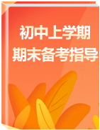 【期末專區(qū)】2019-2020學(xué)年初中化學(xué)上學(xué)期期末備考指導(dǎo)