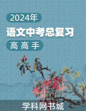 【高高手】2024年浙江中考语文总复习