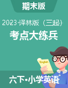 考點(diǎn)大練兵：2022-2023學(xué)年六年級(jí)英語(yǔ)下冊(cè)（譯林版三起）（期末版）