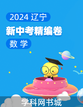 2024年辽宁省新中考数学精编卷
