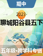 山东省聊城市阳谷县2022-2023学年五年级下学期期中教学质量检测试题