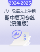 2024-2025學(xué)年八年級語文上學(xué)期期中復(fù)習(xí)題型專練(統(tǒng)編版） 