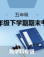 湖南省怀化通道县2022-2023学年五年级下学期期末考试试题