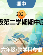 【真题】陕西省延安市宝塔区蟠龙镇初级中学六年级第二学期期中质量评估 2020-2021学年