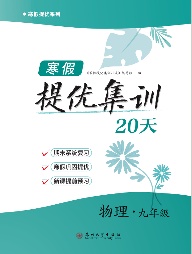 【寒假提優(yōu)集訓】2024-2025學年九年級物理20天（蘇科版）