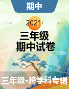 2020-2021学年辽宁省大连市明星小学三年级下学期期中试卷
