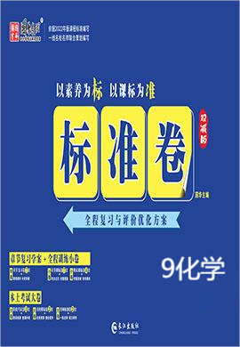 【湖南标准卷】2023-2024学年九年级化学全一册（人教版）