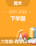 四川省南充市2021-2022学年六年级下学期期末阶段学业质量监测试题
