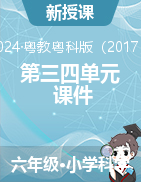 2024-2025學(xué)年科學(xué)六年級(jí)上冊(cè)第三四單元課件（粵教粵科版）