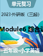 2023年外研三起版五年上册英语 Module6 综合训练