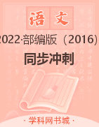 2022-2023学年九年级语文【同步冲刺】部编版